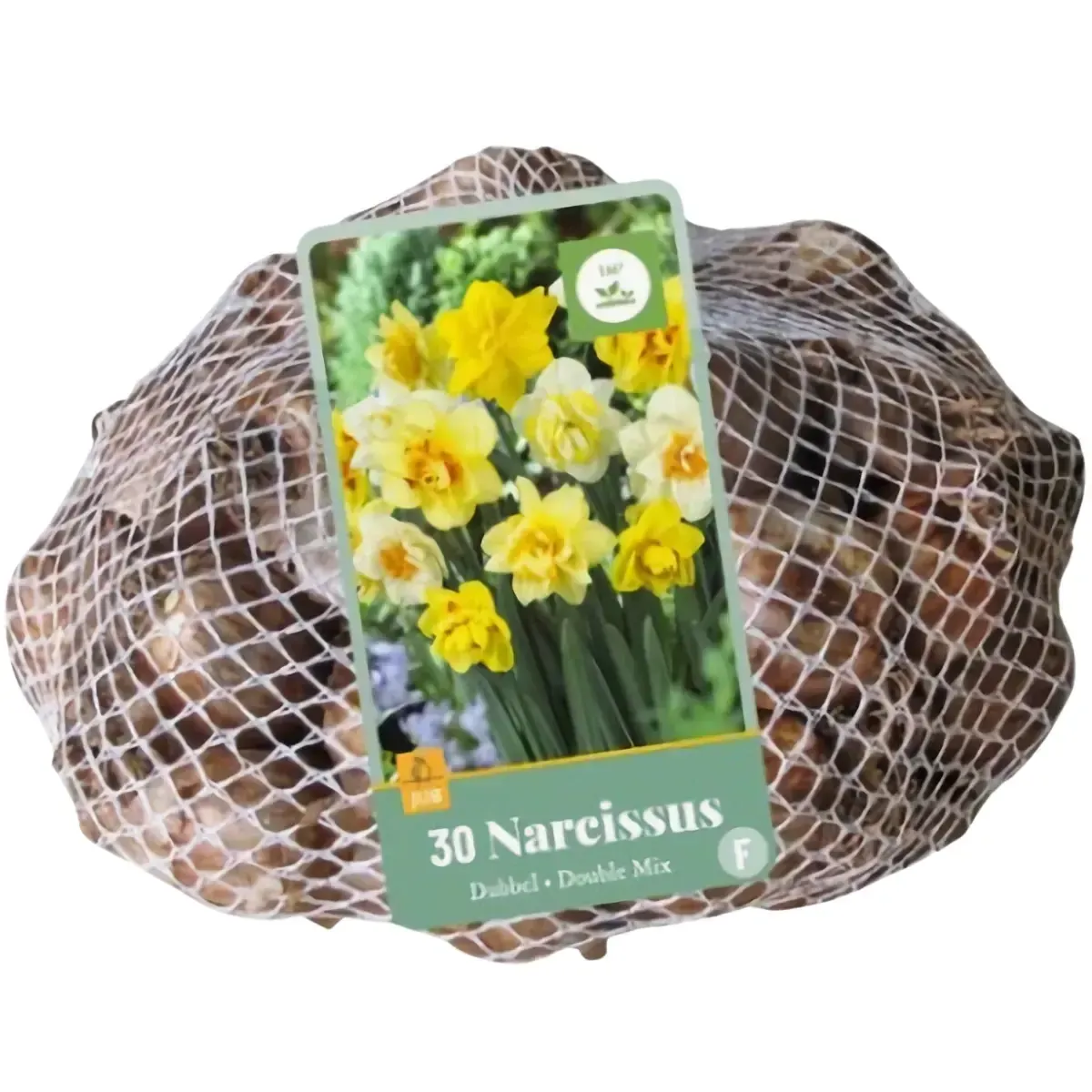 Bulbi di Narciso Doppio MIX JUB Holland