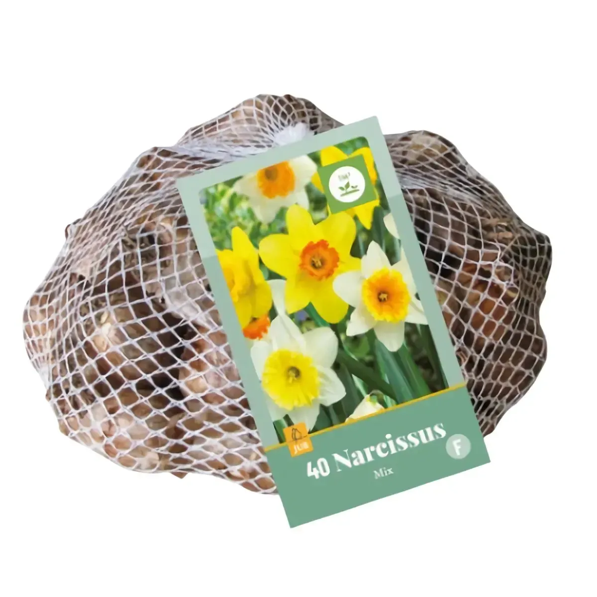 Bulbi di Narciso Coppa Grande MIX JUB Holland