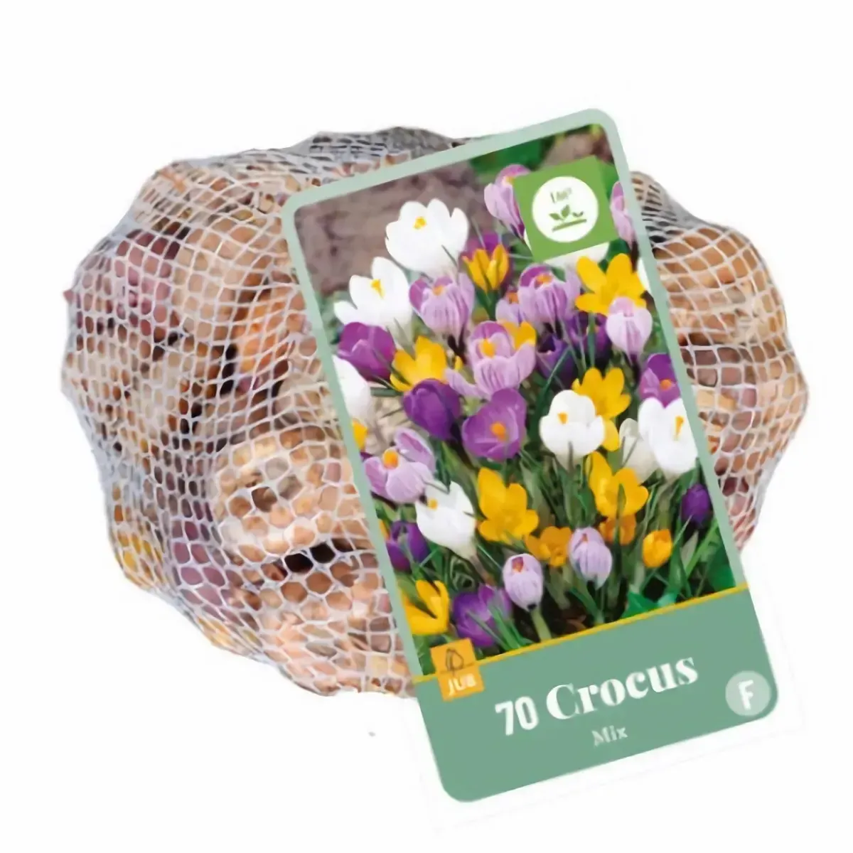 Bulbi di Crocus Fiore Grande Mix JUB Holland