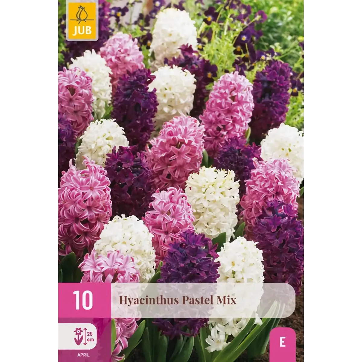 Bulbi di Giacinto Pastello MIX JUB Holland
