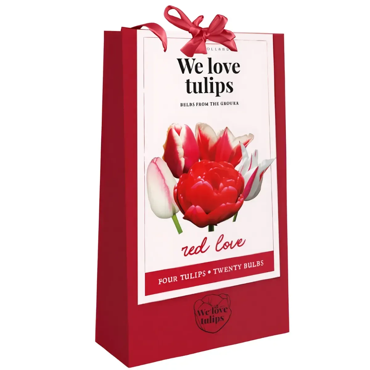 Bulbi di Tulipano We love Tulips - Red Love JUB Holland Bulbi di Tulipano We love Tulips - Red Love JUB Holland