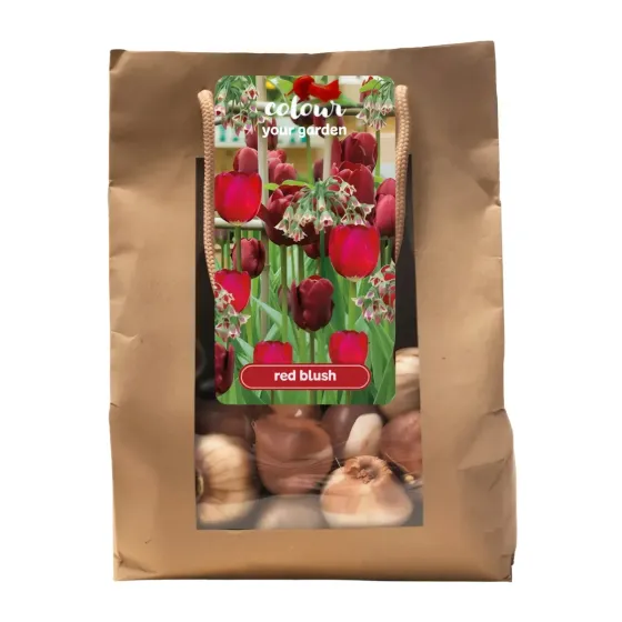 Bag Bulbi Colora il tuo giardino Red Blush JUB Holland