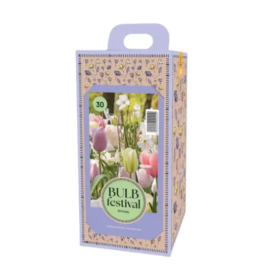 Box Regalo Bulbi Primaverili Buon Compleanno JUB Holland| JUB Holland