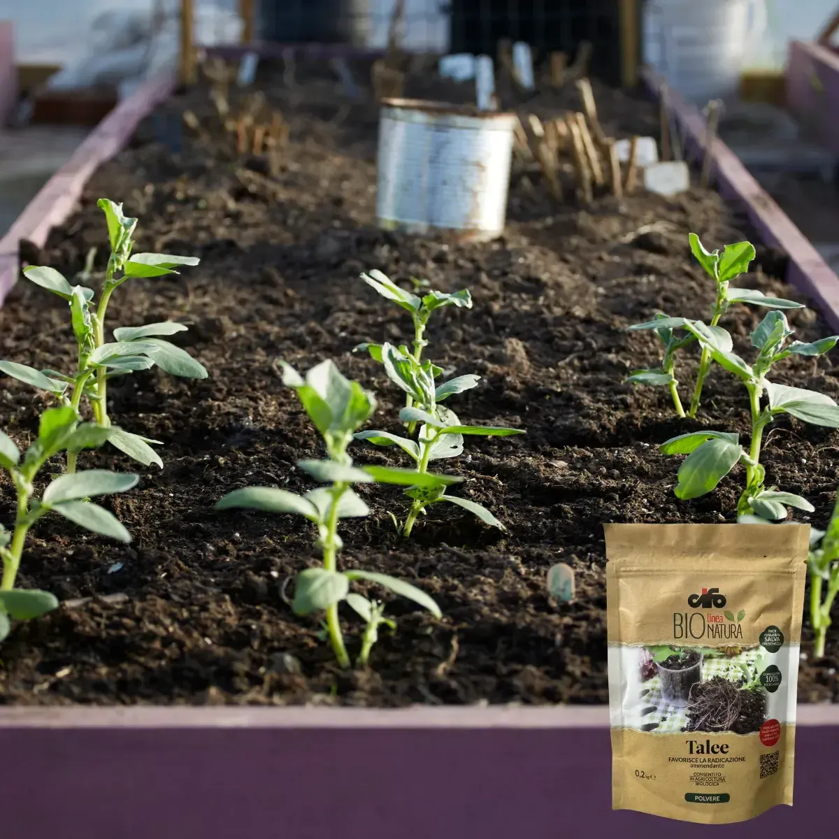 Ammendante per Talee BIO NATURA CIFO