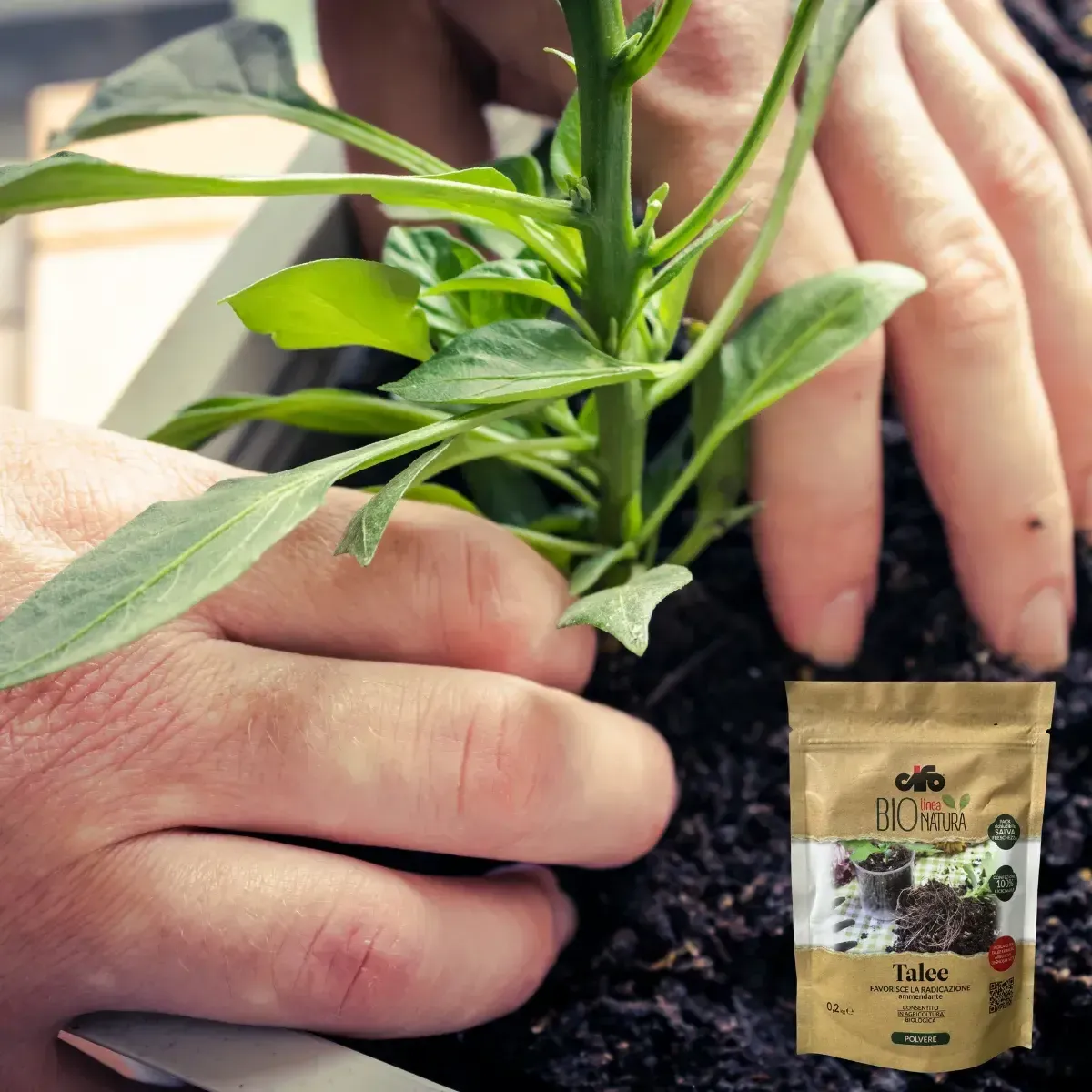 Ammendante per Talee BIO NATURA CIFO