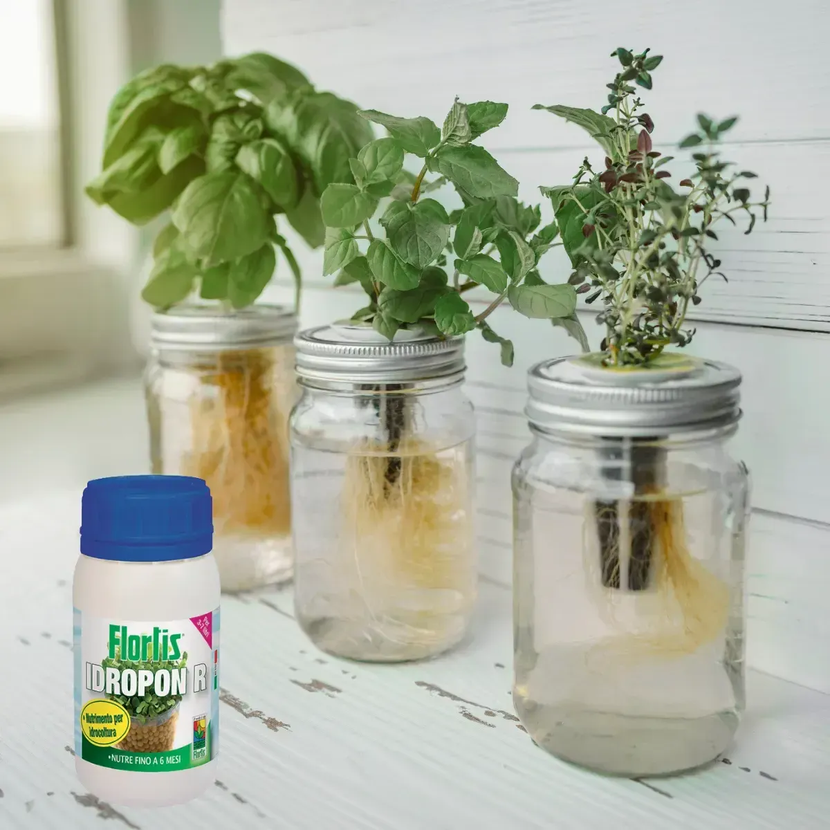 Nutrimento per Idrocoltura IDROPON R FLORTIS