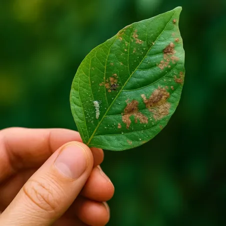 Olio di Neem FLORTIS - Insetticida Fungicida Naturale