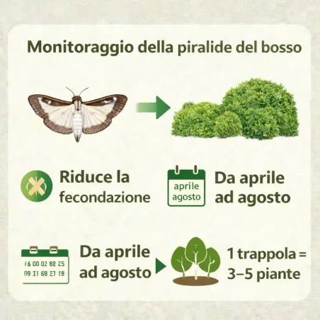 Trappola Piralide del Bosso FLORTIS