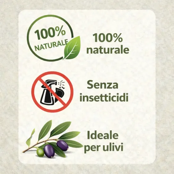 Trappola Mosca dell'Olivo FLORTIS