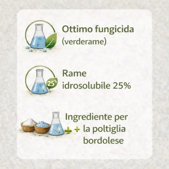 Solfato di Rame (VerdeRame) in polvere FLORTIS Solfato di Rame (VerdeRame) in polvere FLORTIS