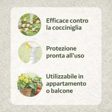 Insetticida Anticocciniglia FLORTIS