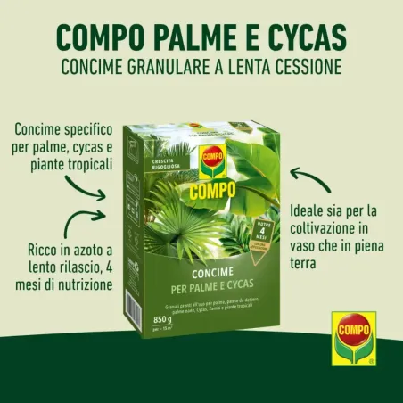 Concime per Palme e Cycas Lenta Cessione COMPO