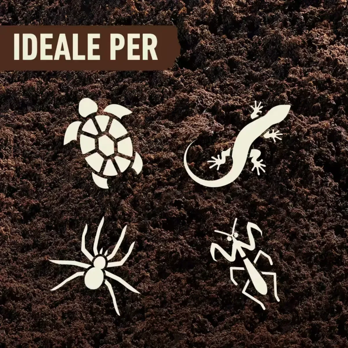 Lettiera per Tartarughe e Terrari COMPO ZOO