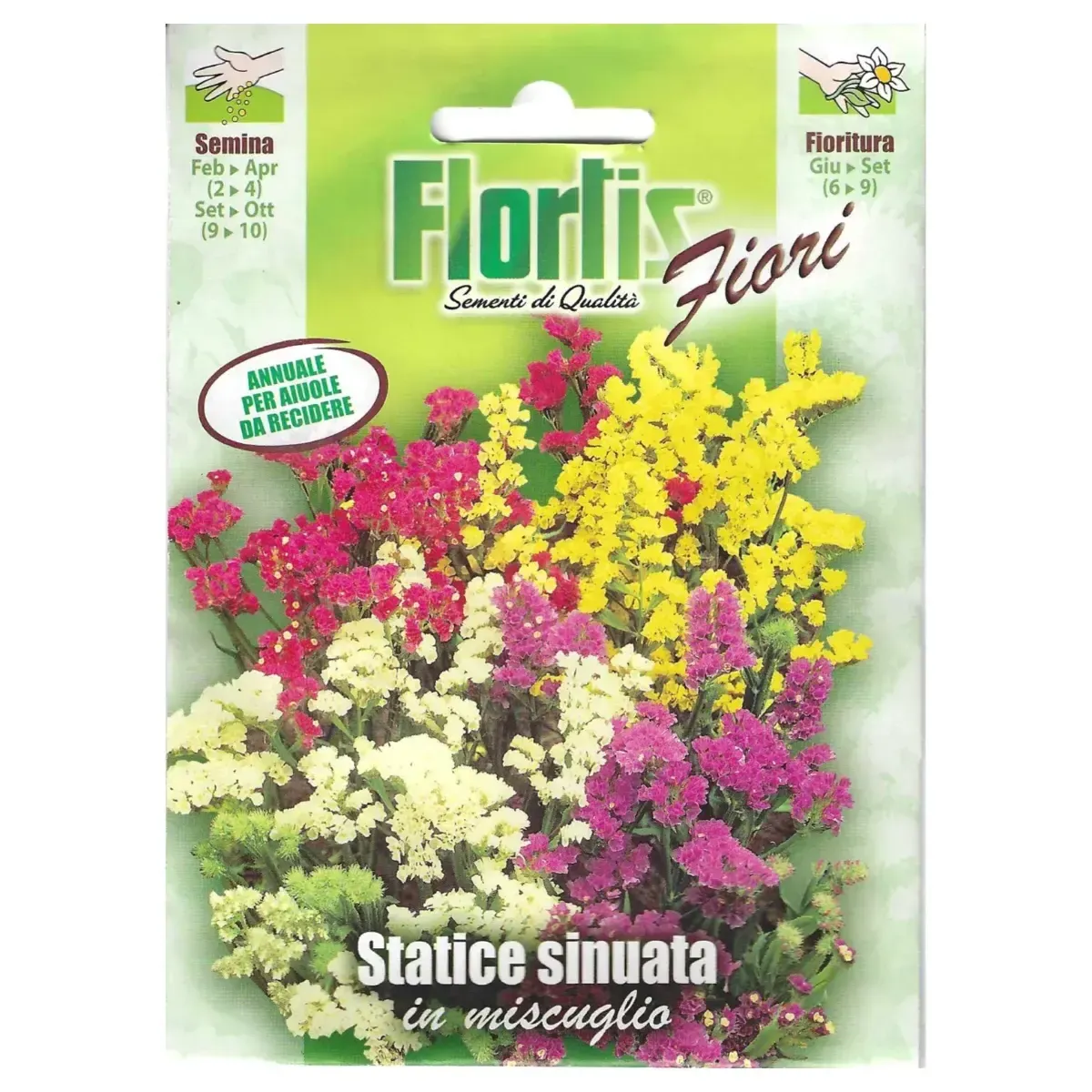 Semi di Statice Sinuata MIX FLORTIS