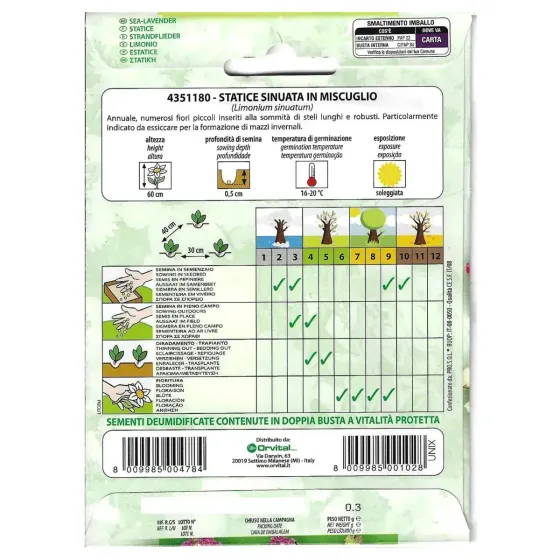 Semi di Statice Sinuata MIX FLORTIS