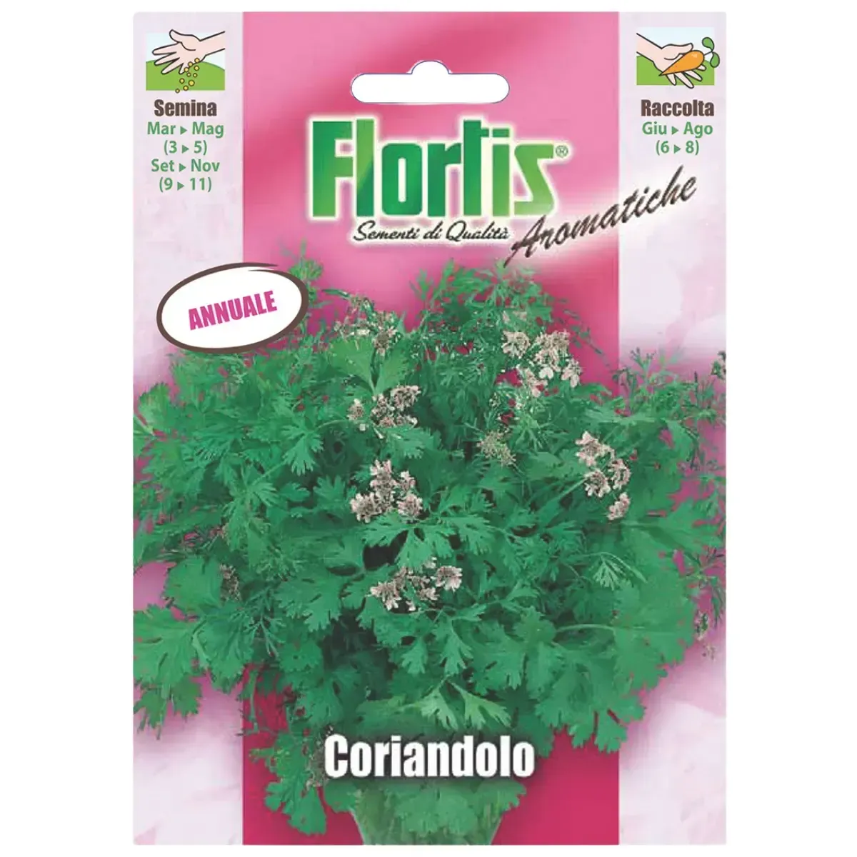 Semi di Coriandolo FLORTIS