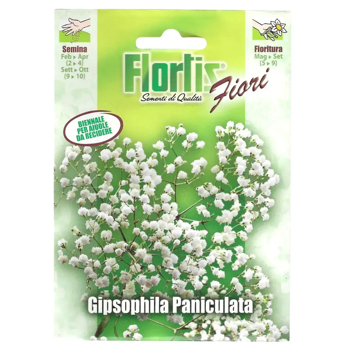 Semi di Gipsophila Paniculata FLORTIS