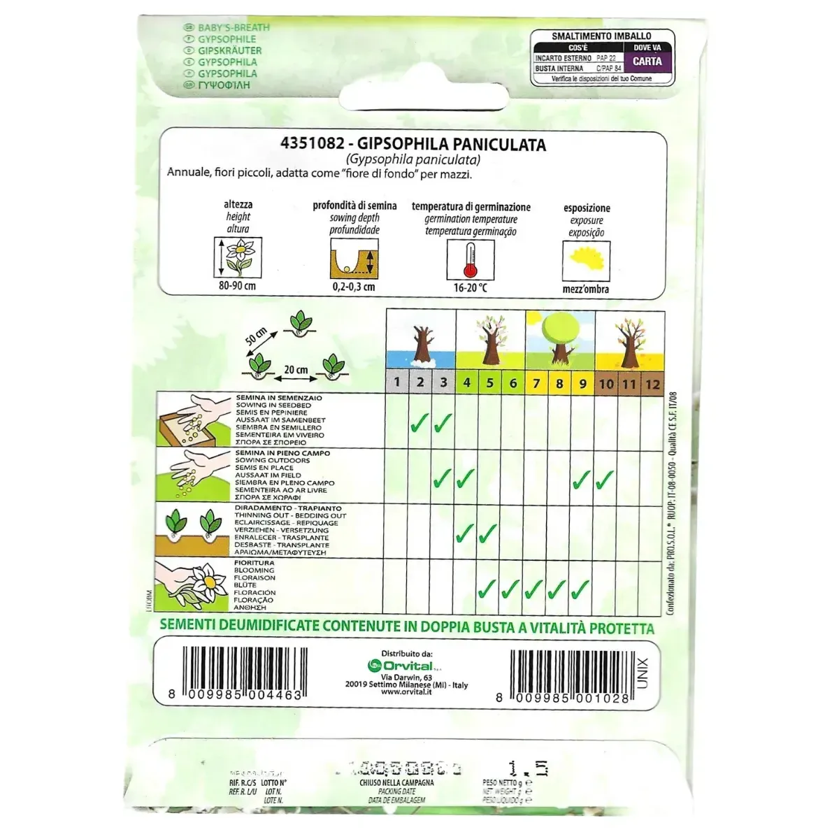 Semi di Gipsophila Paniculata FLORTIS