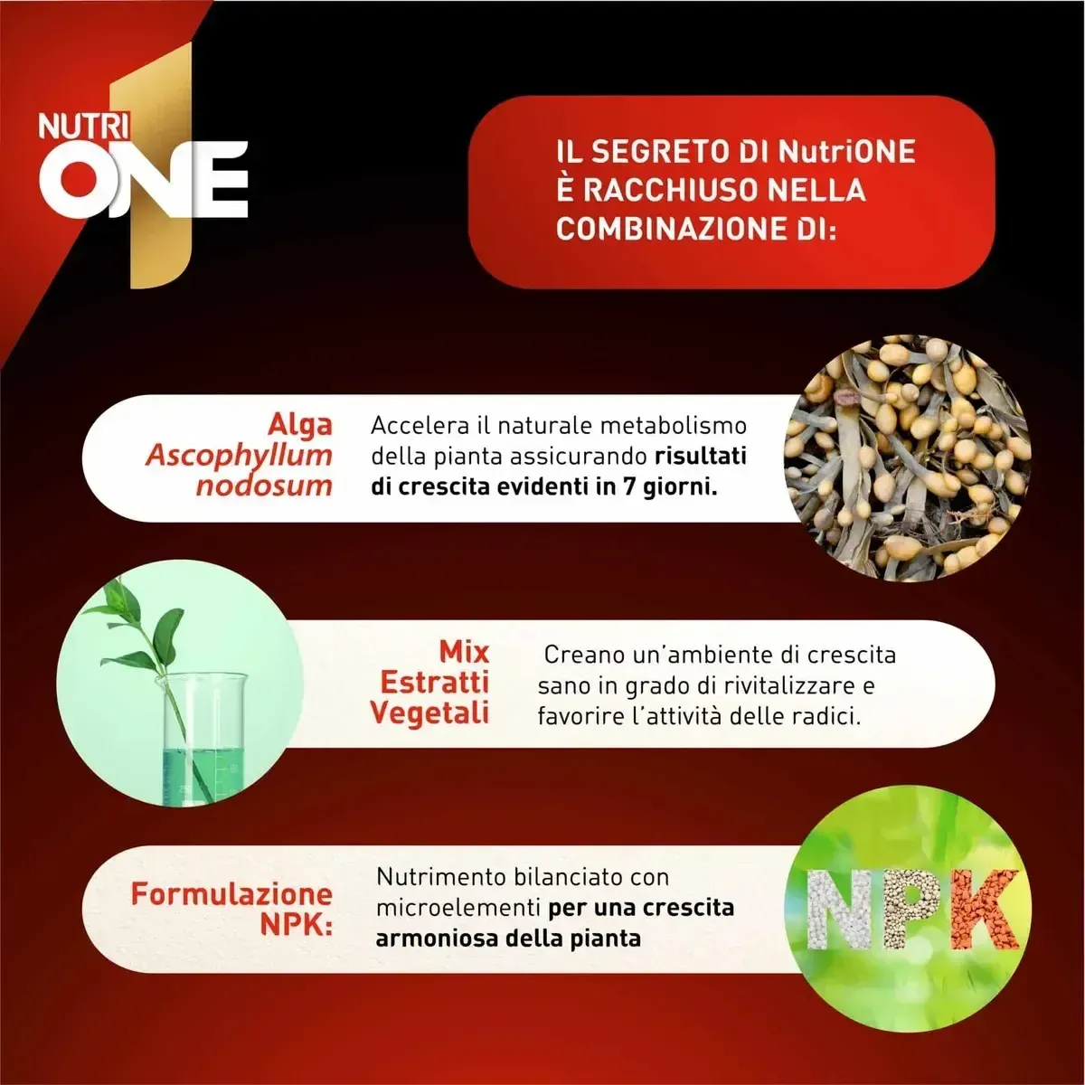 Nutri One Concime Microgranulare