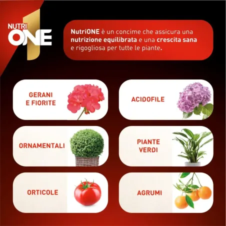 Nutri One Essence Concime Idrosolubile