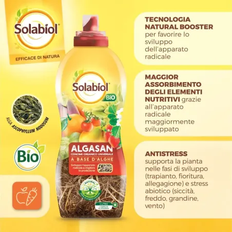 Concime Liquido Algasan Universale BIO SOLABIOL