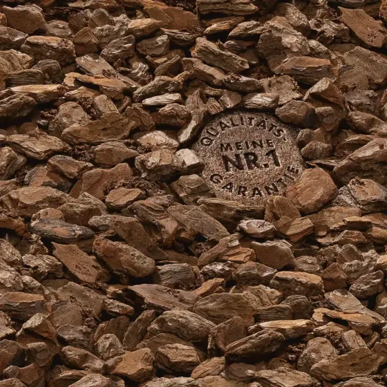 Terriccio per Orchidee COMPO SANA