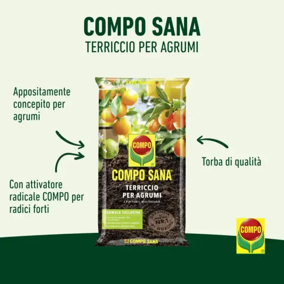 Terriccio per Agrumi e Mediterranee COMPO SANA
