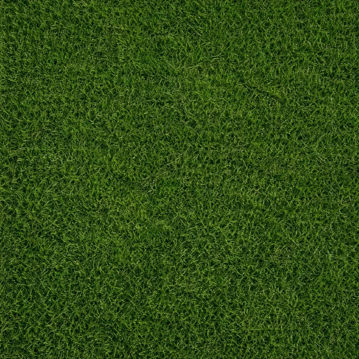 Semi Prato Sun & Shade ICL LANDSCAPERPRO