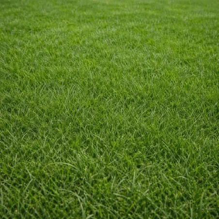 Semi Prato RAPID LANDSCAPERPRO