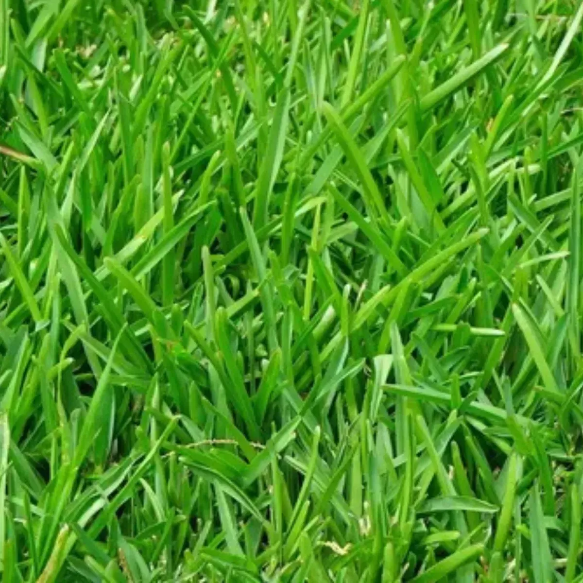 Concime Prato STRESS CONTROL LANDSCAPERPRO