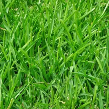 Concime Prato STRESS CONTROL LANDSCAPERPRO