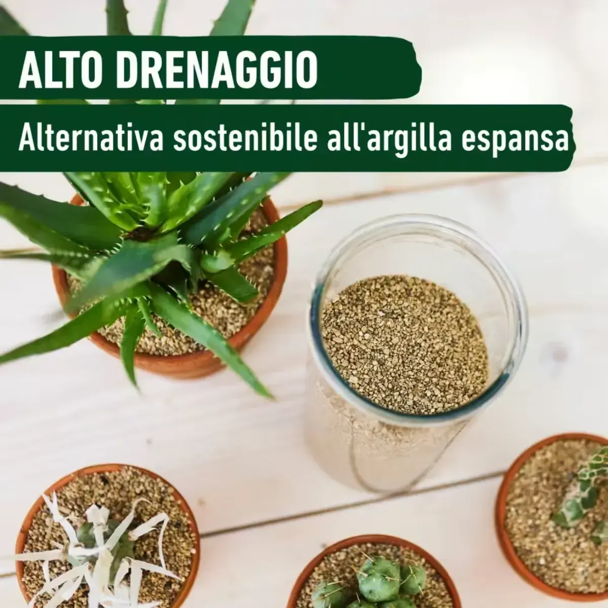 Granuplant da Interno Pomice Fine COMPO BIO