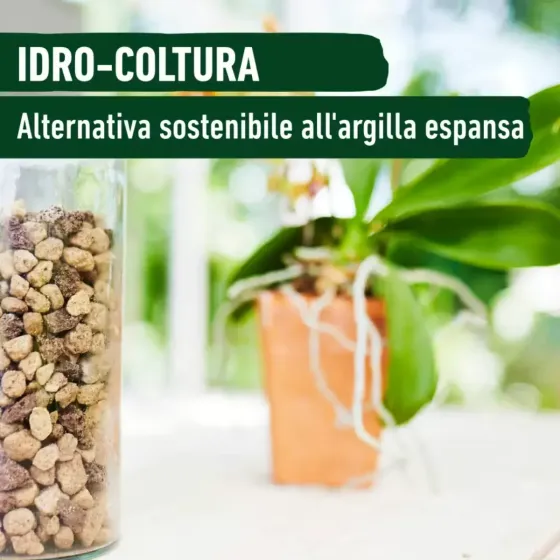 Granuplant da Interno Pomice Fine COMPO BIO