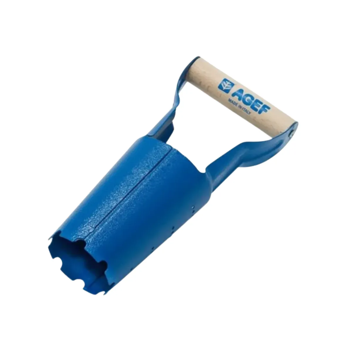 Pianta Bulbo Acciao Faggio AGEF