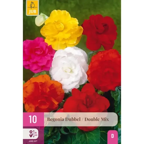 Bulbi di Begonia Doppia Mix JUB Holland