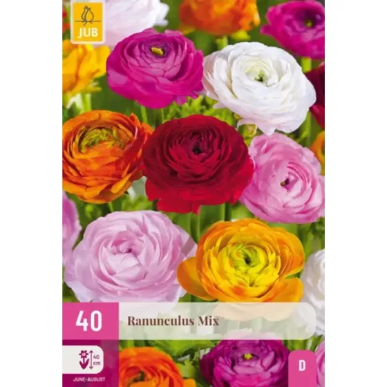 Bulbi di Ranuncoli Mix JUB Holland