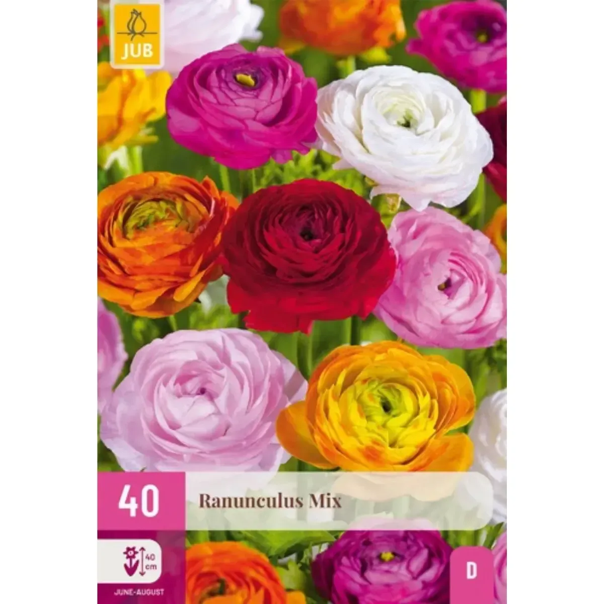 Bulbi di Ranuncoli Mix JUB Holland