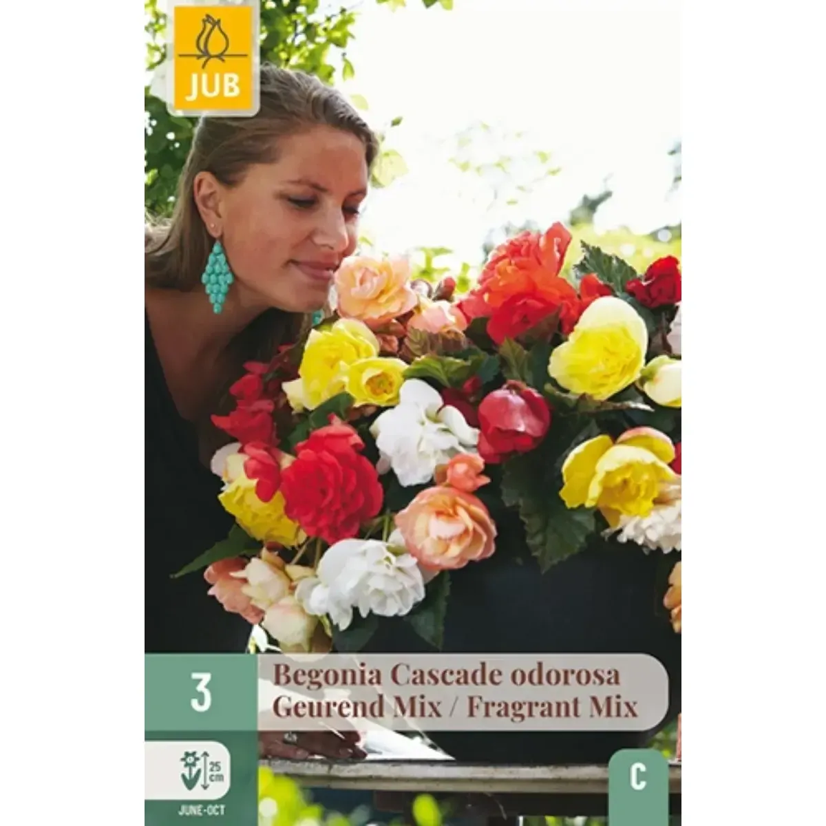 Bulbi di Begonia Fragrant Cascade Odorosa JUB Holland