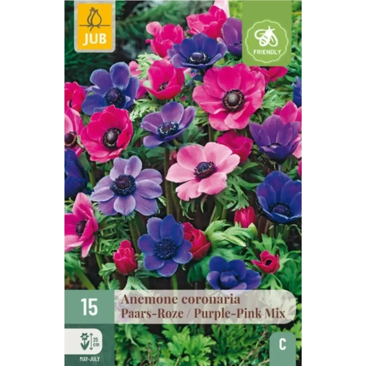 Bulbi di Anemone Coronaria Viola / Rosa MIX