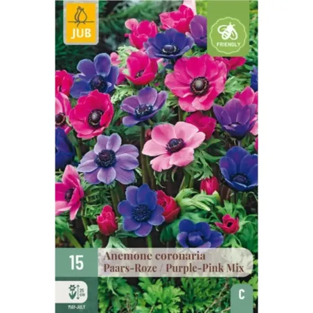 Bulbi di Anemone Coronaria Viola / Rosa MIX