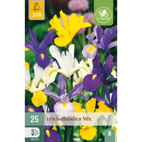 Bulbi di Iris Hollandica MIX JUB Holland