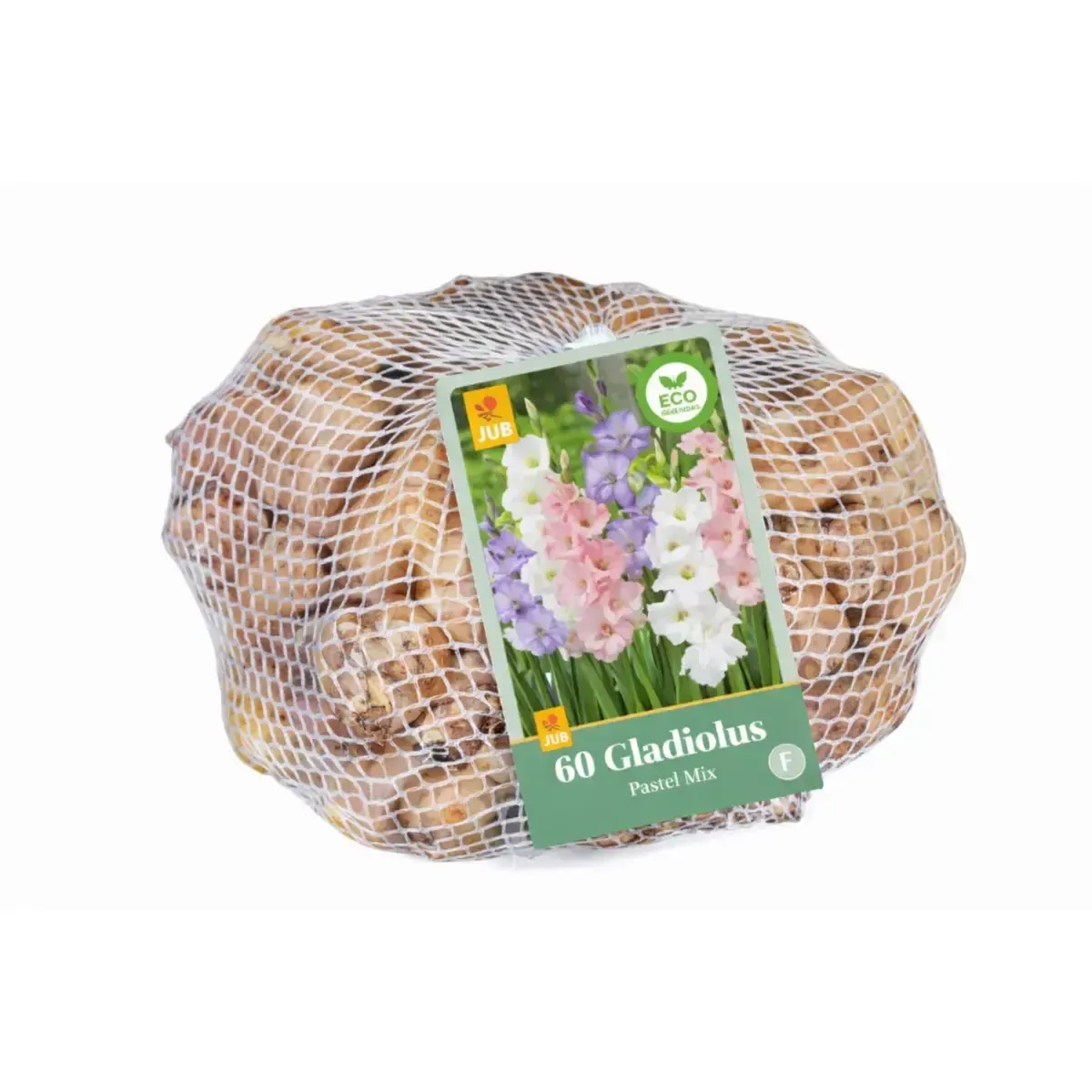 Bulbi di Gladioli Pastel Mix JUB Holland