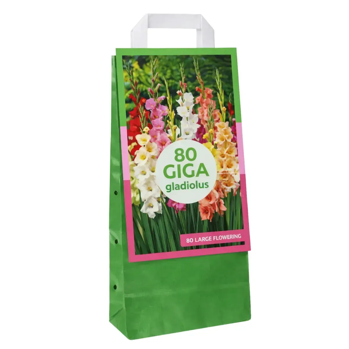 Maxi Bag Bulbi di 80 Giga Gladioli JUB Holland