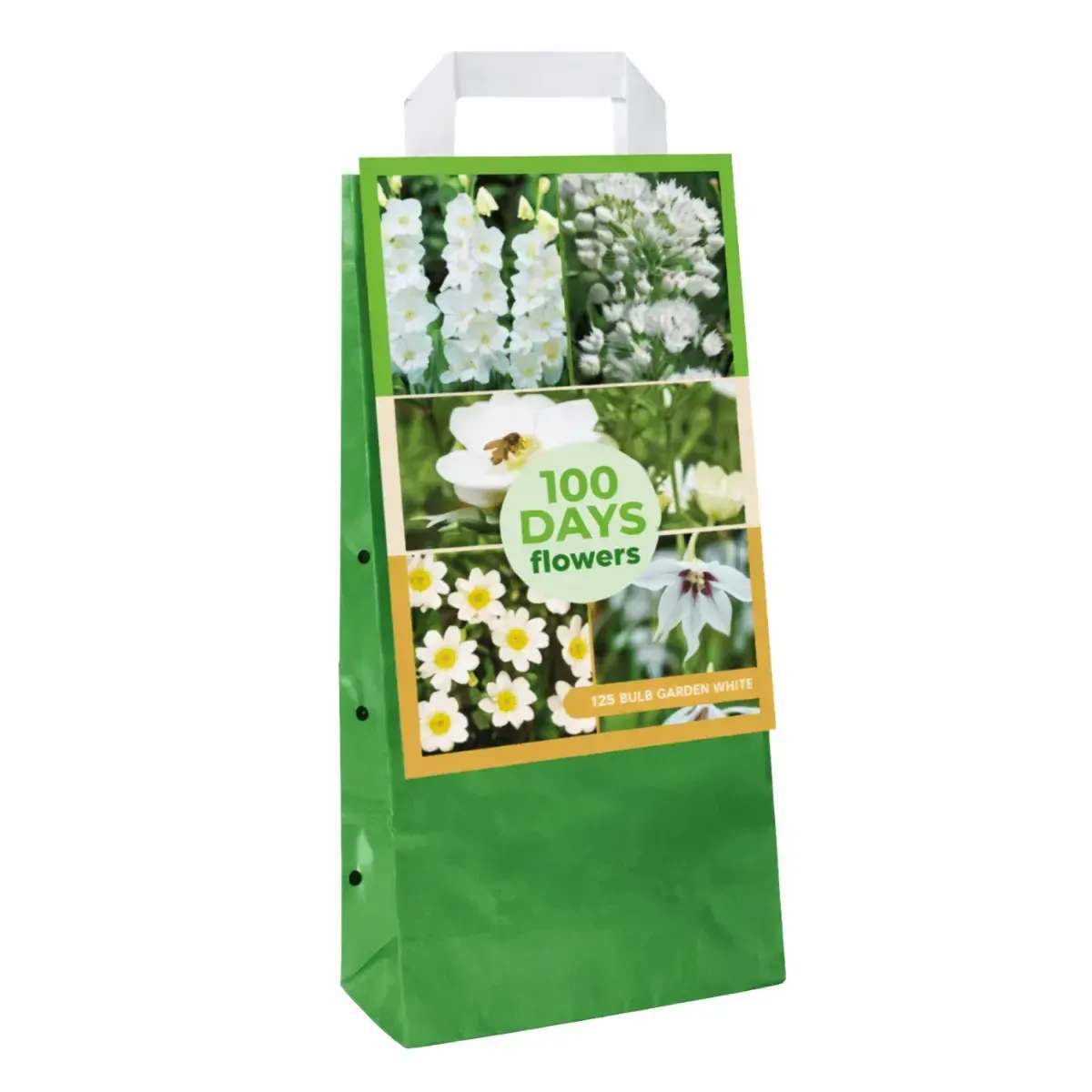 Maxi Bag Bulbi Garden Bianco 100 Giorni Fioritura JUB Holland