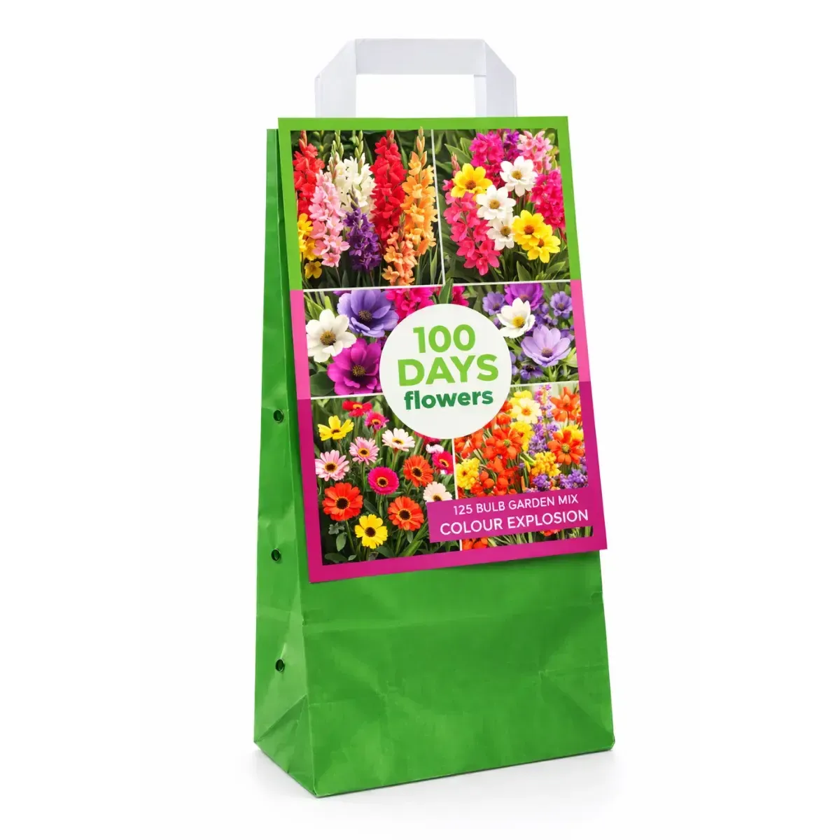 Maxi Bag Bulbi Esplosione di Colori 100 Giorni Fioritura JUB Holland