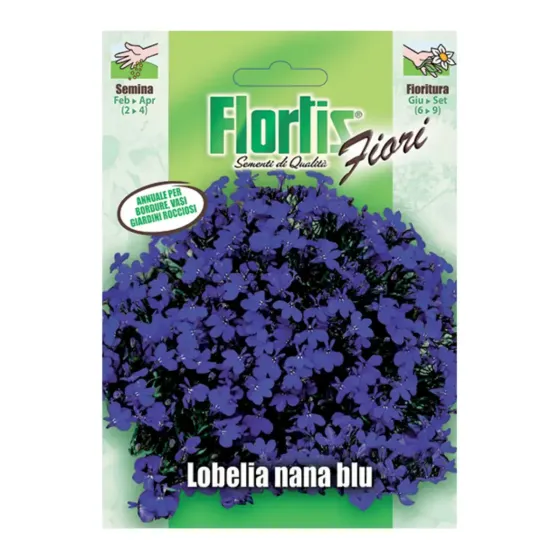 Semi di Lobelia Nana Blu FLORTIS