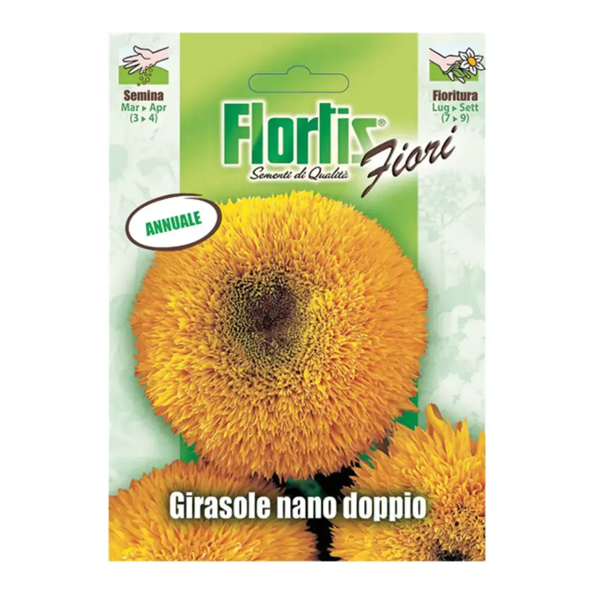 Semi di Girasole Nano FLORTIS