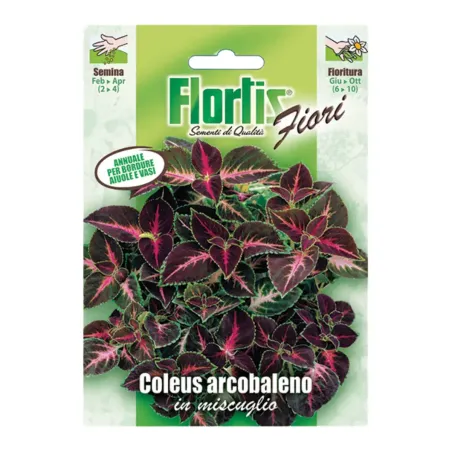 Semi di Coleus Arcobaleno Mix FLORTIS