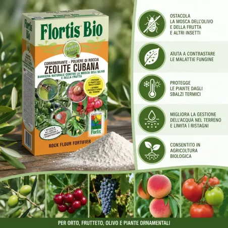 Zeolite Cubana in Polvere FLORTIS