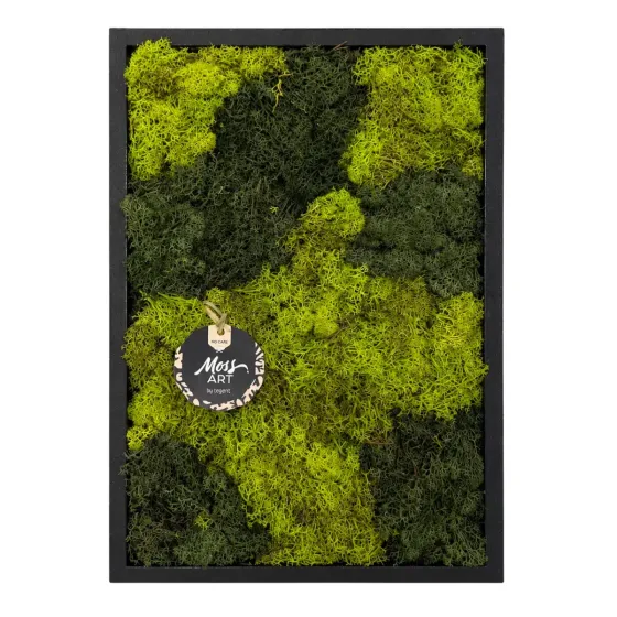 Quadro in Muschio Stabilizzato Moss Art - Esperit Elements